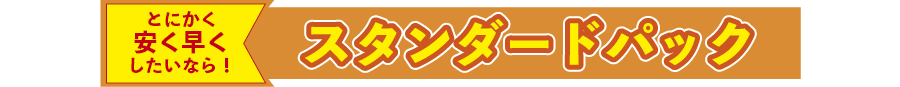 とにかく安く早くしたいなら！
スタンダードパック